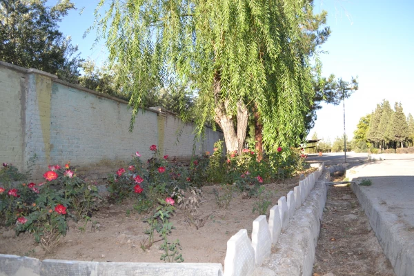 زیبا سازی محوطه مرکز و فضای سبز