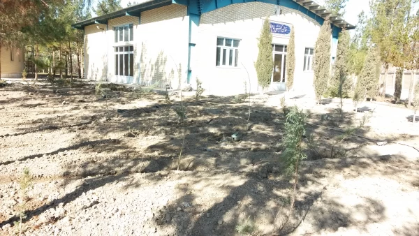 تهیه و کاشت درخت