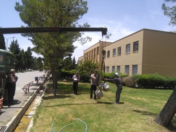 زیبا سازی فضای سبز مرکز با المانهای طبیعی