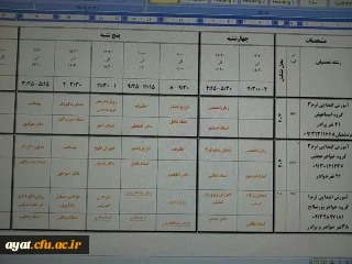 انتخاب واحد ناپیوسته