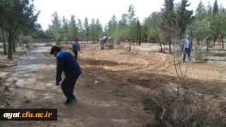 فعالیت های عمرانی