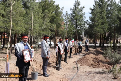 روز شهید روز درختکاری