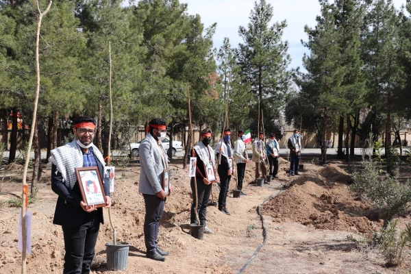 روز شهید روز درختکاری 3