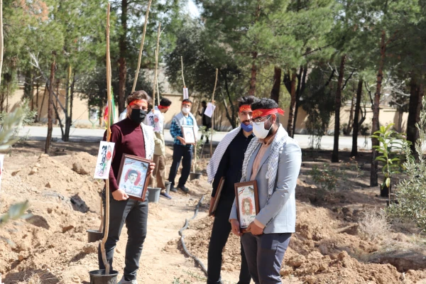 روز شهید روز درختکاری 4