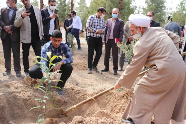 روز شهید روز درختکاری 9