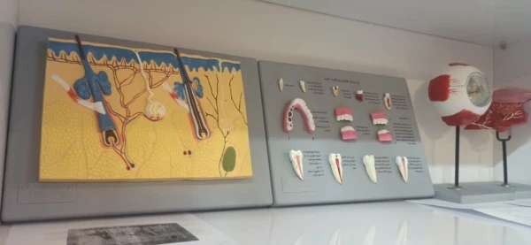 تجهیز سازی اتاق ازمایشگاه و ریاضی و علوم تجربی  2