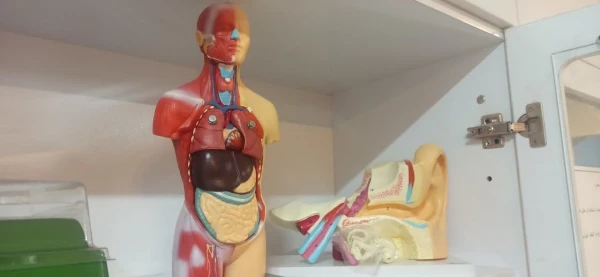 تجهیز سازی اتاق ازمایشگاه و ریاضی و علوم تجربی  8