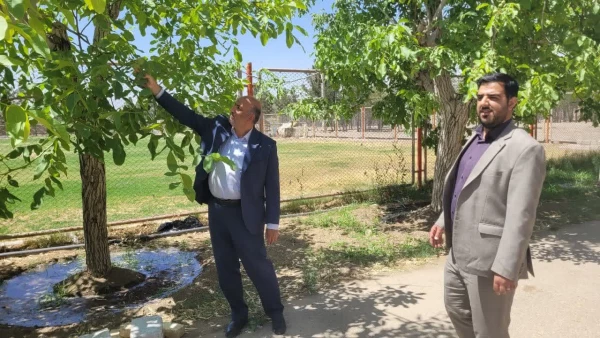 فرآیند ساخت و نصب نرده های حفاظ بر دیوار های دانشگاه فرهنگیان مرکز شهید آی 2