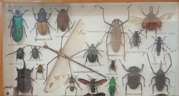 بازدید علمی ـ پژوهشی دانشجویان دانشگاه فرهنگیان شهید آیت نجف آباد از پژوهش سرای دانش آموزی شهید حجتی
 2